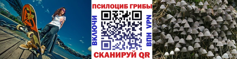 Псилоцибиновые грибы GOLDEN TEACHER где купить наркотик Тайшет