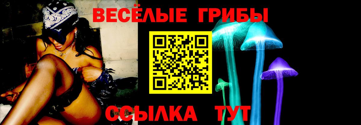 Галлюциногенные грибы MAGIC MUSHROOMS  Вход с VPN  Псилоцибиновые грибы ЛСД  Тайшет 