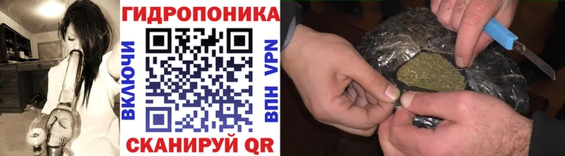Конопля индика  нарко площадка наркотические препараты  Тайшет  где продают   KRAKEN ТОР 